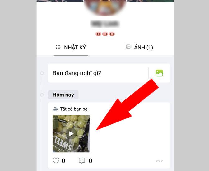 video tren zalo.jpg